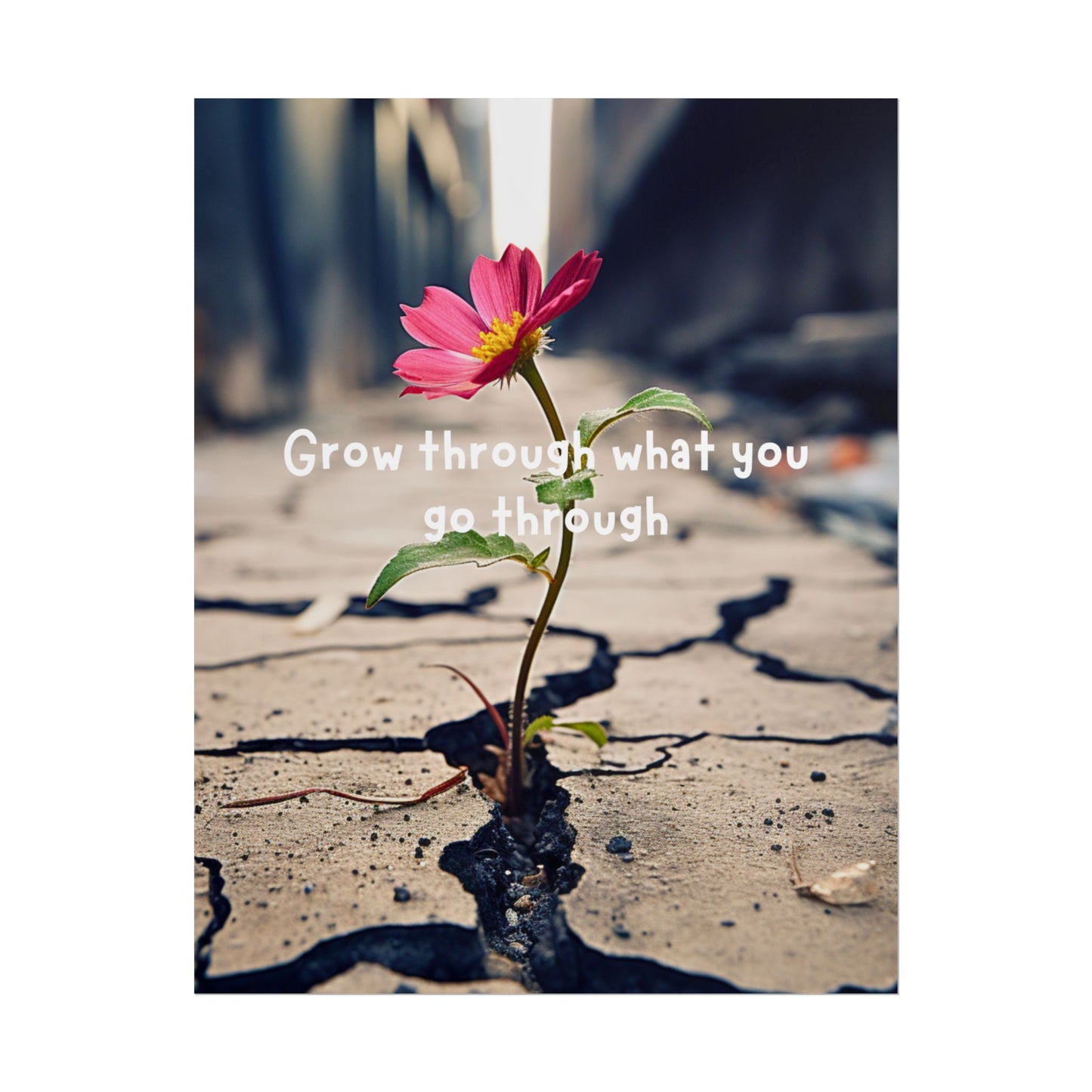 Resilience in Bloom- Fine Art Poster