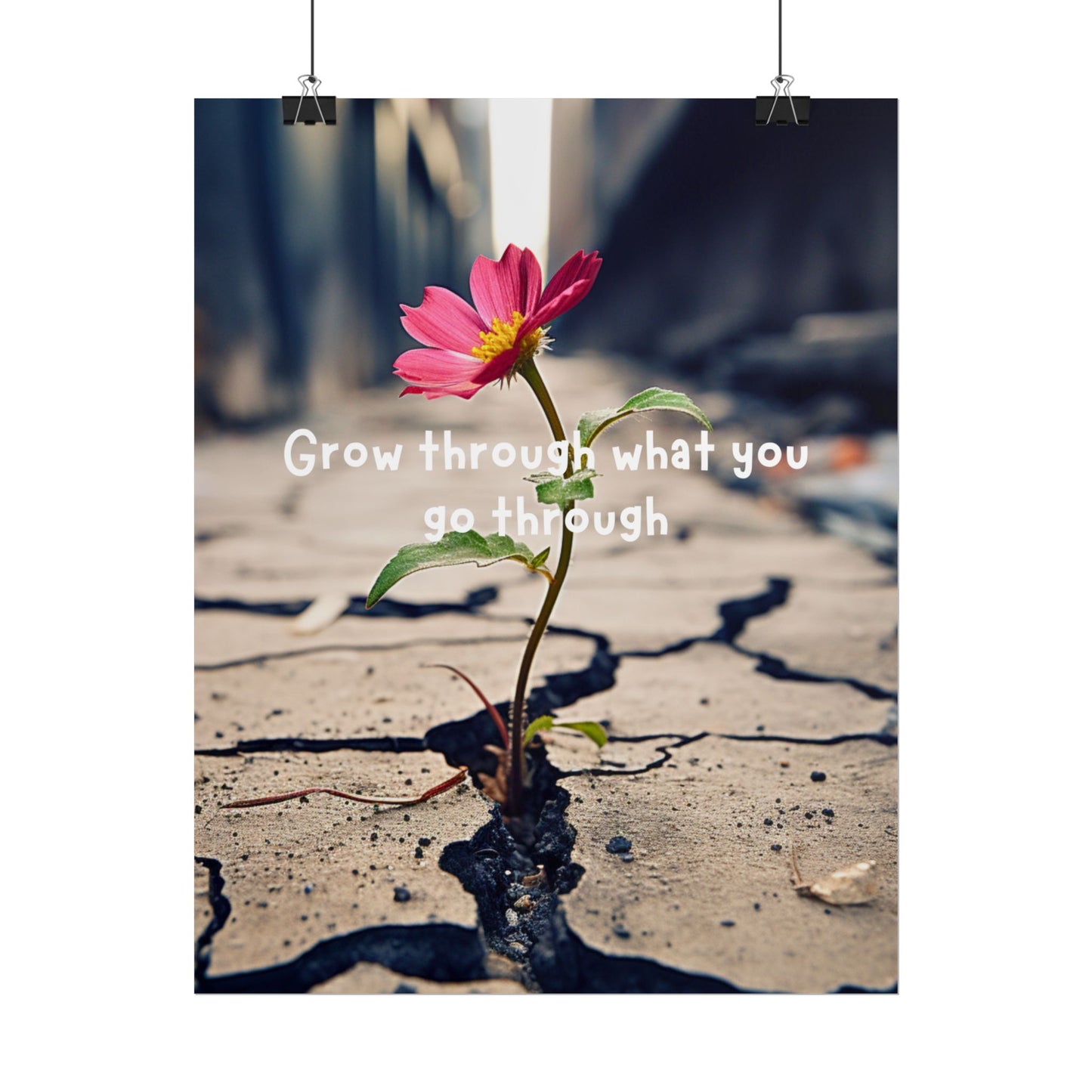 Resilience in Bloom- Fine Art Poster