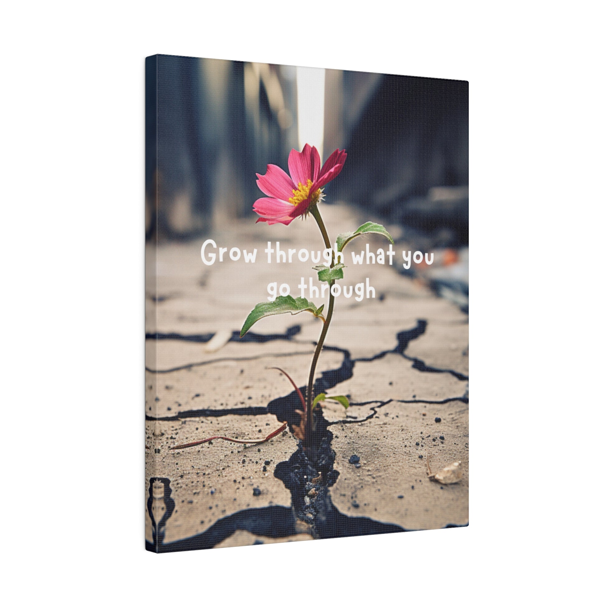 Resilience in Bloom- Matte Canvas - Active Ascend