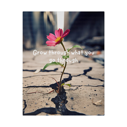 Resilience in Bloom- Matte Canvas - Active Ascend