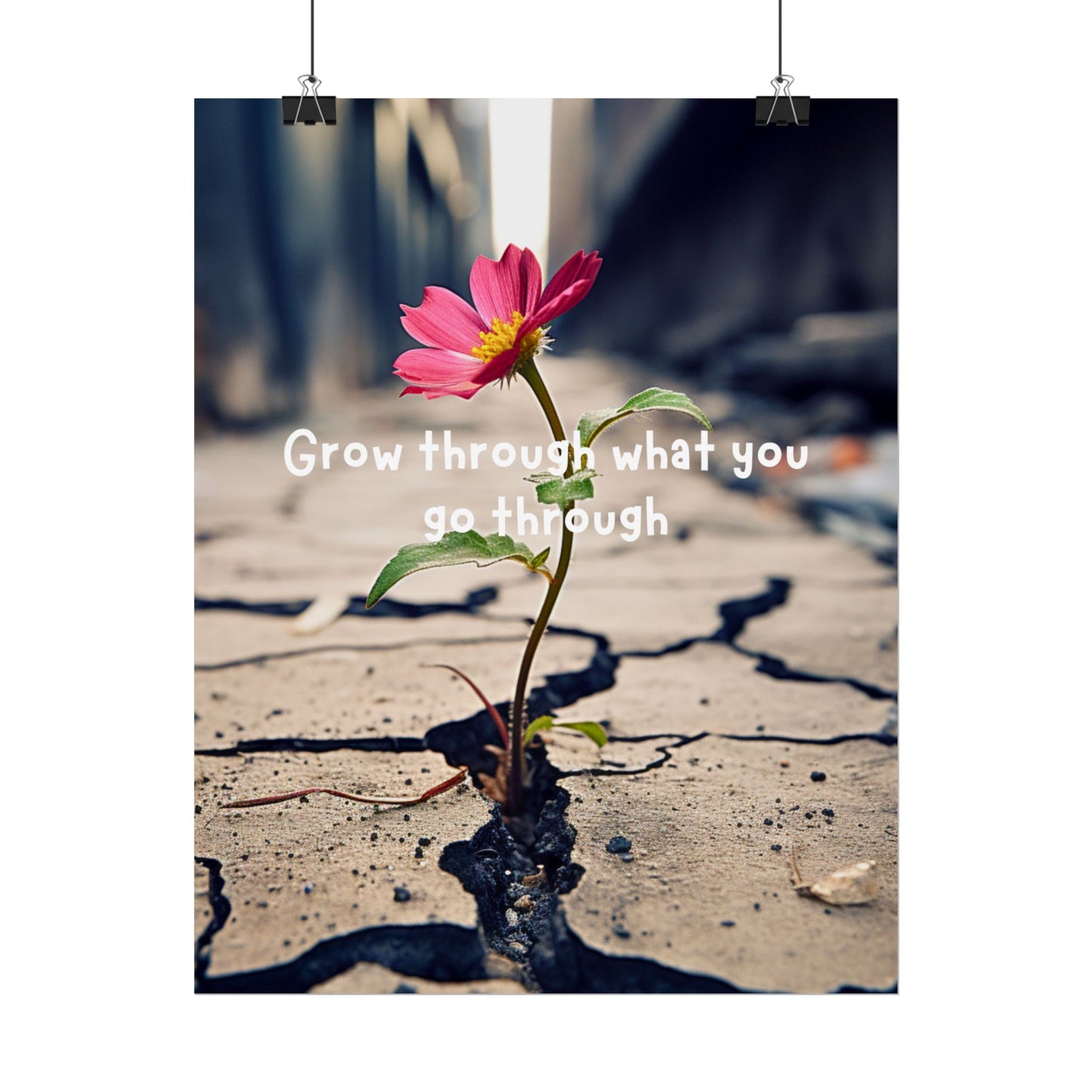 Resilience in Bloom- Fine Art Poster