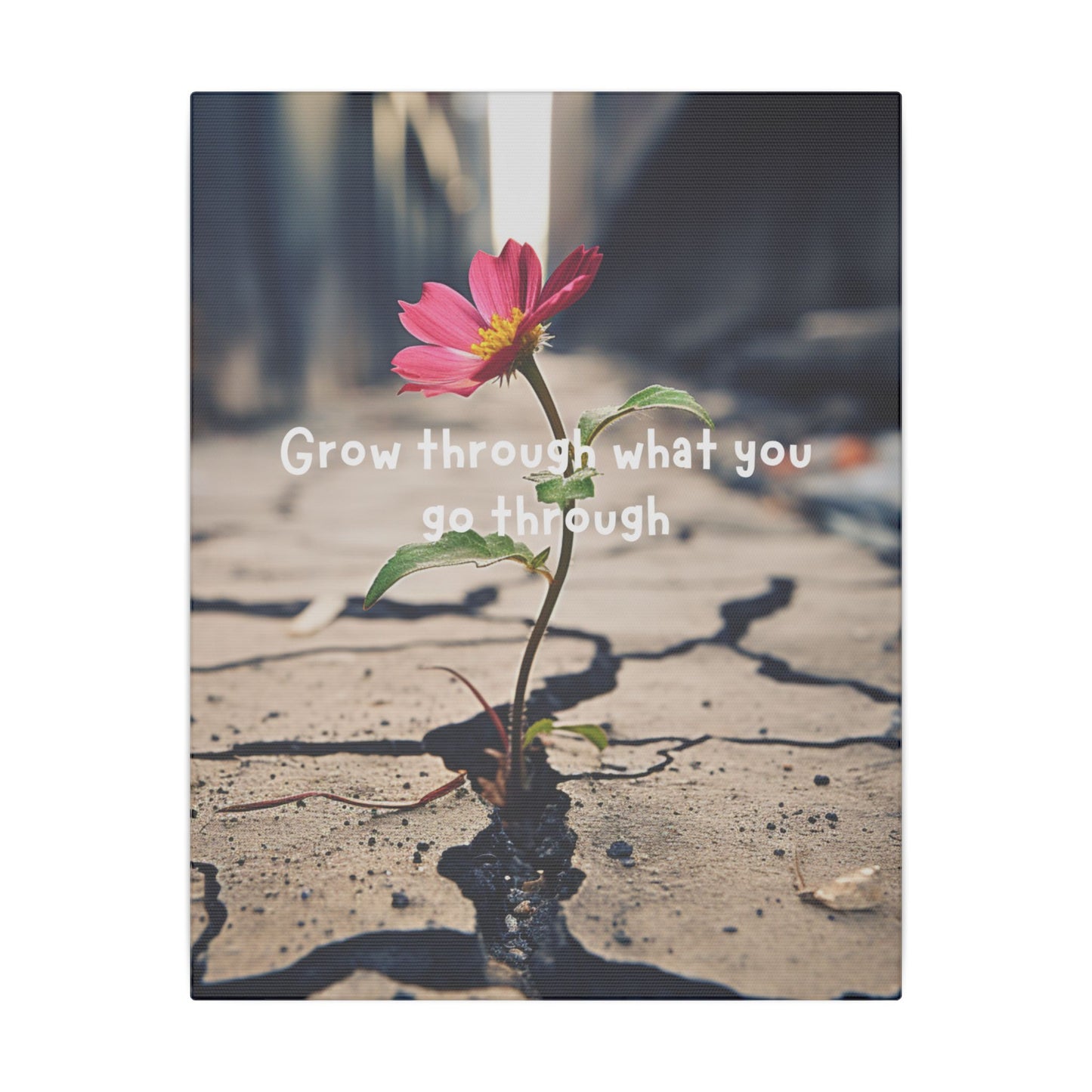 Resilience in Bloom- Matte Canvas - Active Ascend